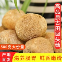古田猴頭菇干貨深山煲湯猴菇頭非新鮮500g菌菇袋裝批發(fā)直銷養胃